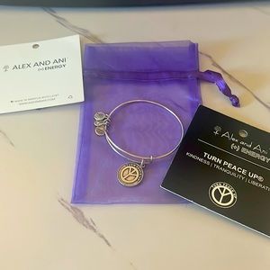 Alex and Ani silver bangle